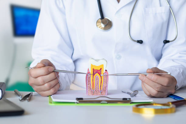 Best Tooth Infection Emergency Dentist  in Dryden, MI